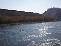 DSC05755.JPG