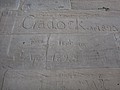 DSC05770.JPG