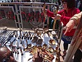 DSC05794.JPG