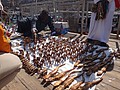 DSC05797.JPG