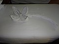 DSC05807.JPG