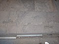 DSC05830.JPG