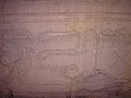 DSC05839.JPG