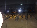 DSC05844.JPG