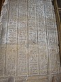 DSC05887.JPG