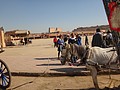 DSC05897.JPG