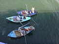 DSC05910.JPG