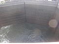 DSC05919.JPG