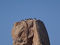 DSC06002.JPG
