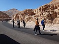 DSC06010.JPG