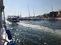 DSC06030.JPG