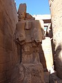 DSC06050.JPG