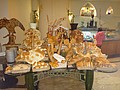 DSC06103.JPG