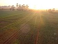 DSC06190.JPG