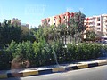 DSC06220.JPG