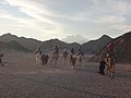 DSC06266.JPG