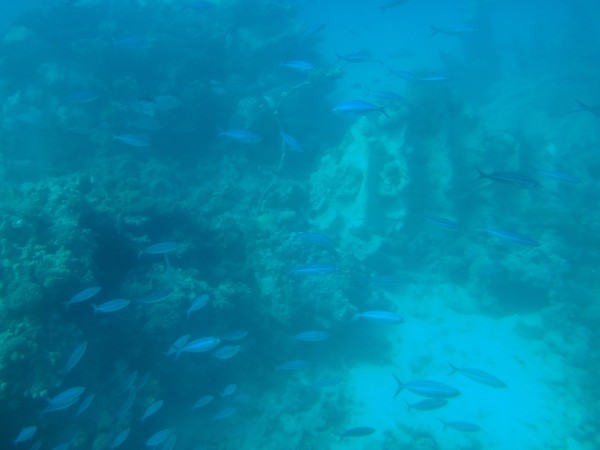 DSC06366.JPG