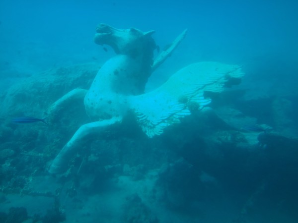 DSC06374.JPG