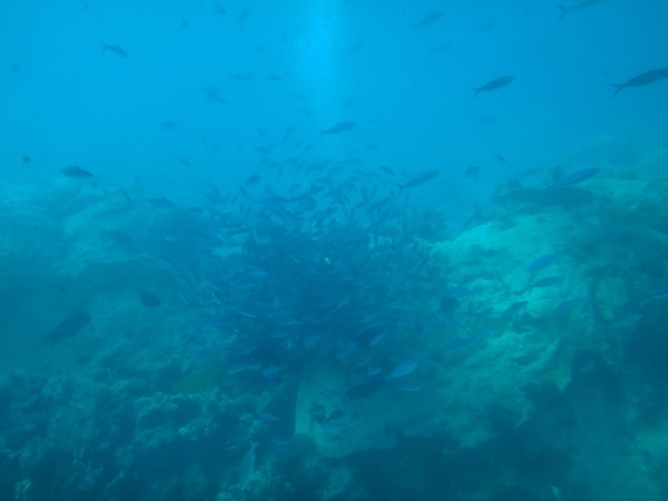 DSC06377.JPG