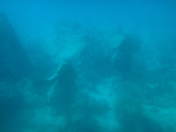 DSC06378.JPG