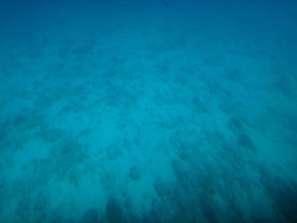 DSC06380.JPG