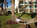 DSC06337.JPG