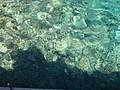 DSC06345.JPG