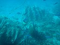 DSC06364.JPG