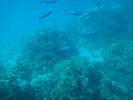 DSC06365.JPG