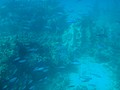 DSC06366.JPG