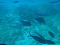 DSC06368.JPG