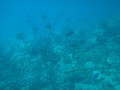 DSC06369.JPG