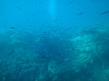 DSC06377.JPG