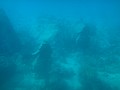 DSC06378.JPG