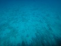 DSC06380.JPG
