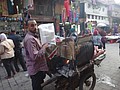DSC06480.JPG