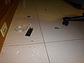 DSC06555.JPG