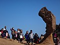 DSC06596.JPG