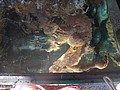 DSC06613.JPG