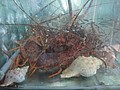DSC06635.JPG