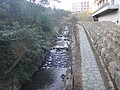 DSC06661.JPG