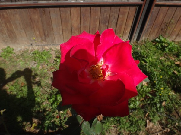 DSC06680.JPG