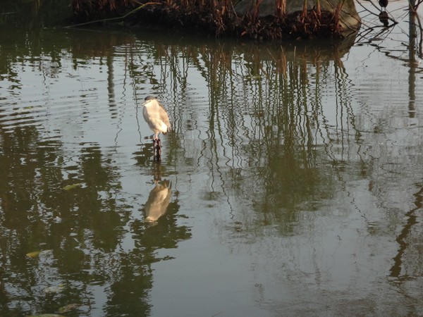 DSC06725.JPG