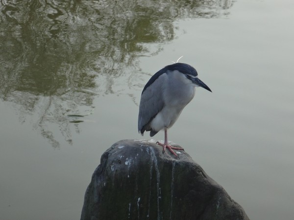 DSC06726.JPG