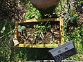 DSC06675.JPG