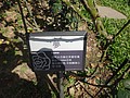 DSC06676.JPG