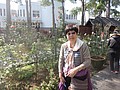 DSC06677.JPG