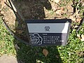 DSC06679.JPG