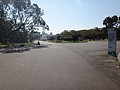 DSC06687.JPG