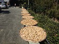 DSC06690.JPG